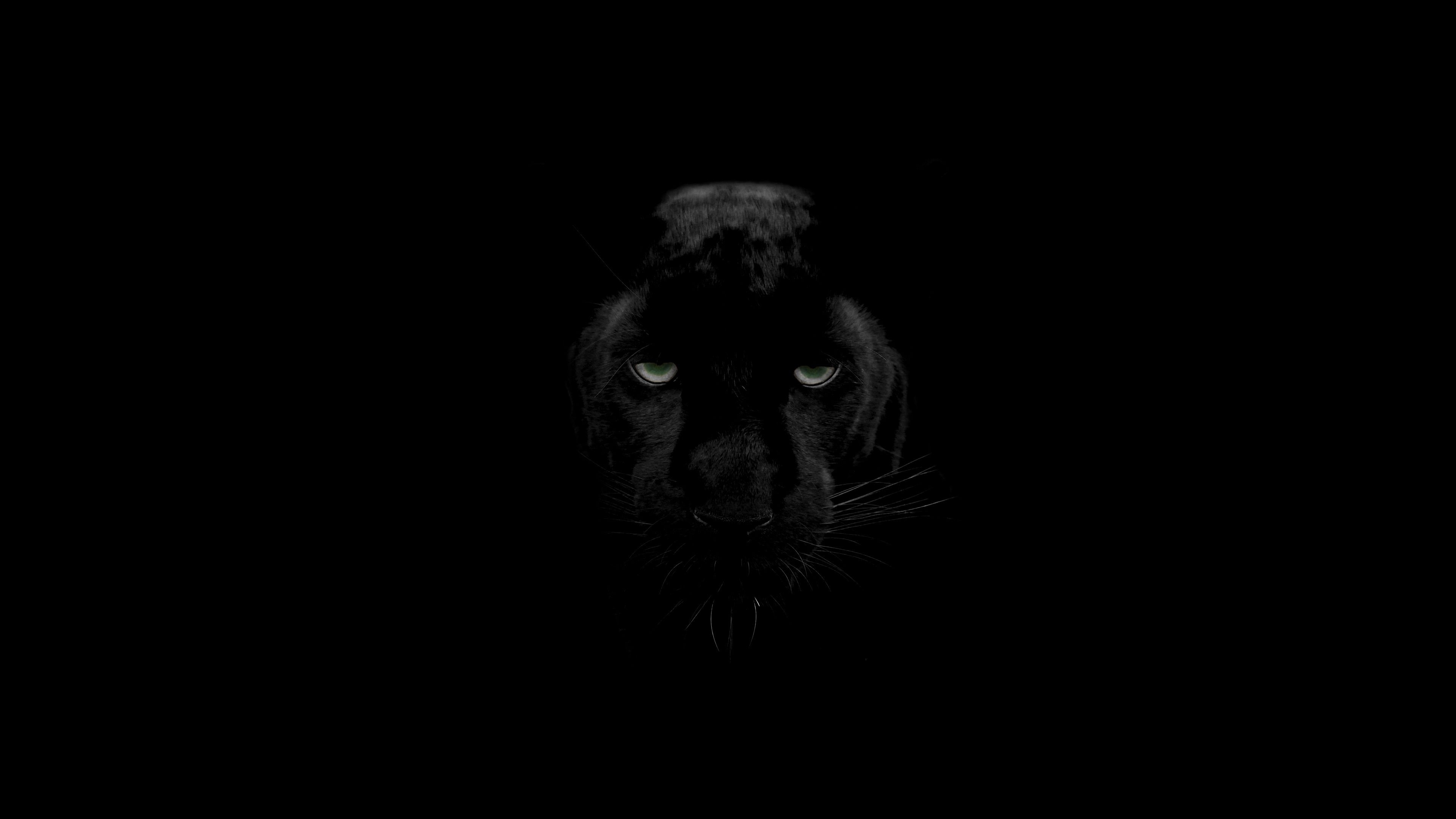 Black Panthers